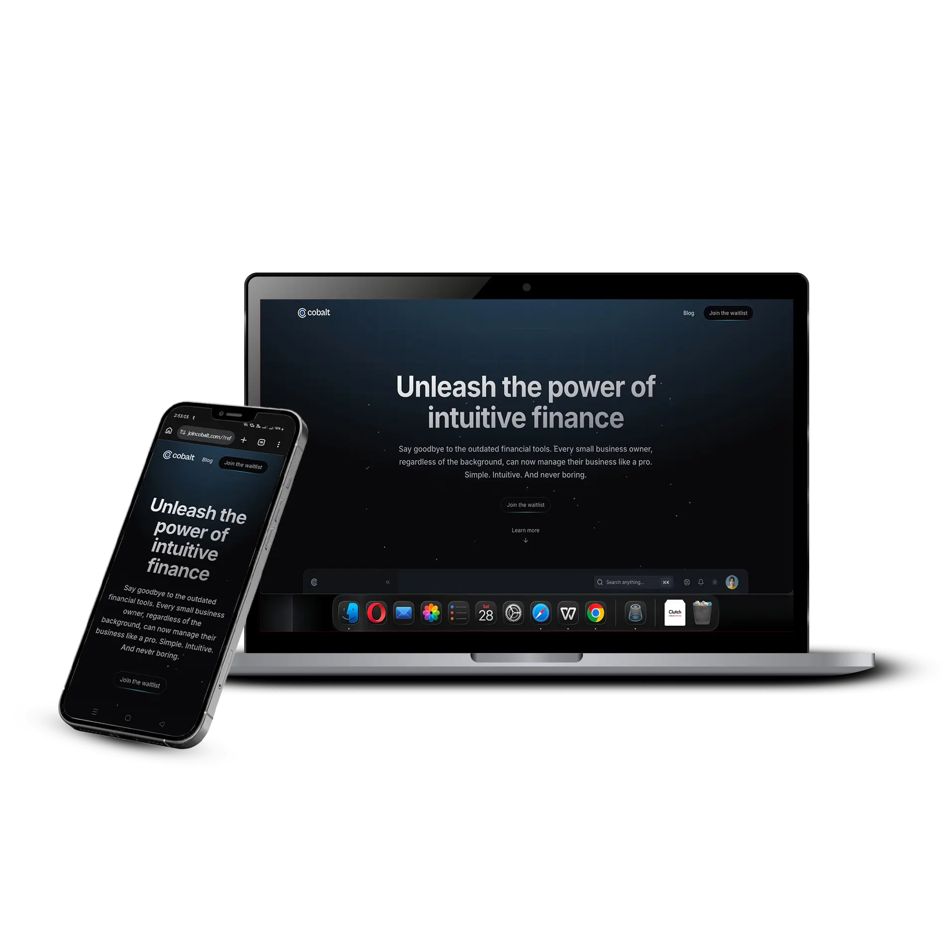 SaaS Webflow website preview